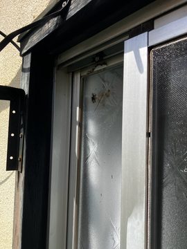 蜂の巣駆除 施工後の様子